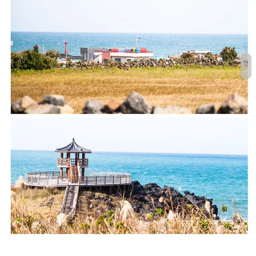 펜션 제주 신촌 블루스 빌라